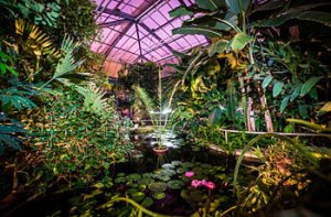 Tubišvatová prohlídka skleníku - fotografie