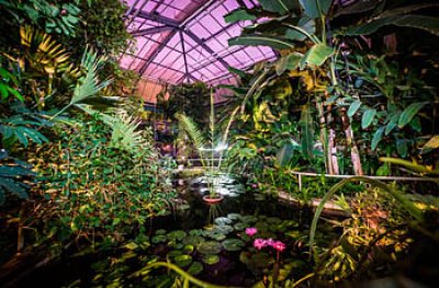 Tubišvatová prohlídka skleníku