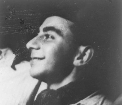 Stolpersteine za Karla Švenka